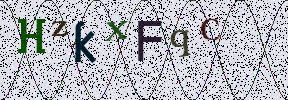Visual Confirmation Security Code