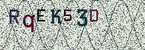 Visual Confirmation Security Code