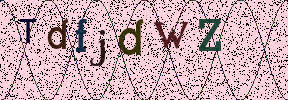 Visual Confirmation Security Code