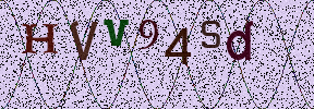 Visual Confirmation Security Code
