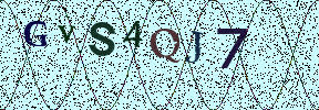 Visual Confirmation Security Code