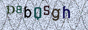 Visual Confirmation Security Code