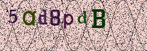 Visual Confirmation Security Code