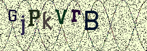 Visual Confirmation Security Code