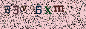 Visual Confirmation Security Code