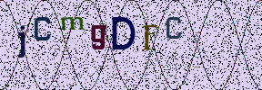 Visual Confirmation Security Code