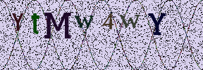 Visual Confirmation Security Code