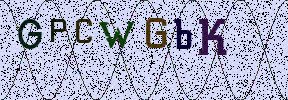 Visual Confirmation Security Code