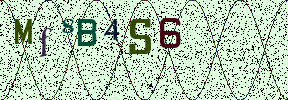 Visual Confirmation Security Code