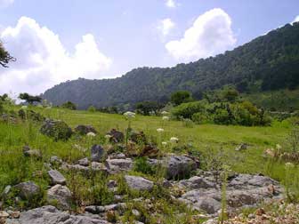 Parque en QuerÃ©taro